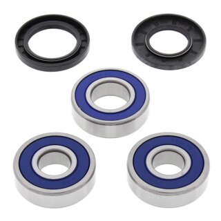 All Balls wheel bearing kit, rear