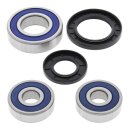 All Balls wheel bearing kit, rear