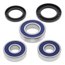 All Balls wheel bearing kit, rear