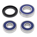 All Balls wheel bearing kit, rear