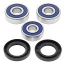 All Balls wheel bearing kit, rear