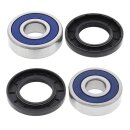 All Balls wheel bearing kit, rear