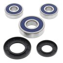 All Balls wheel bearing kit, rear