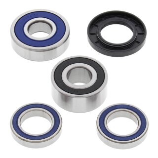 All Balls wheel bearing kit, rear