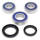 All Balls wheel bearing kit, rear