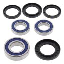 All Balls wheel bearing kit, rear