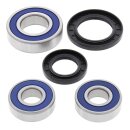 All Balls wheel bearing kit, rear