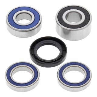 All Balls wheel bearing kit, rear