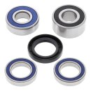 All Balls wheel bearing kit, rear