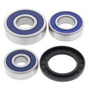 All Balls wheel bearing kit, rear