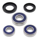 All Balls wheel bearing kit, rear