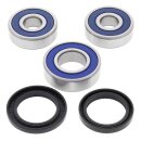 All Balls wheel bearing kit, rear