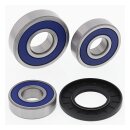 All Balls wheel bearing kit, rear