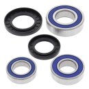 All Balls wheel bearing kit, rear