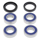 All Balls wheel bearing kit, rear