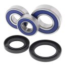 All Balls wheel bearing kit, rear