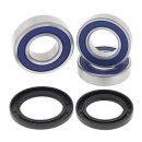All Balls wheel bearing kit, rear