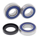 All Balls wheel bearing kit, rear