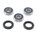 All Balls wheel bearing kit, rear