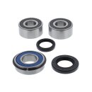 All Balls wheel bearing kit, rear