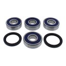 All Balls wheel bearing kit, rear