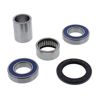 All Balls wheel bearing kit, rear