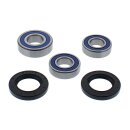 All Balls wheel bearing kit, rear