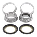All Balls steering bearing kit