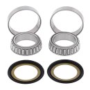 All Balls steering bearing kit