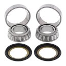 All Balls steering bearing kit