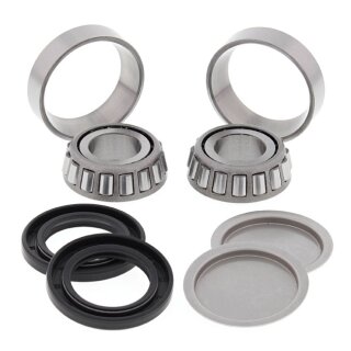 All Balls swing arm bearing kit