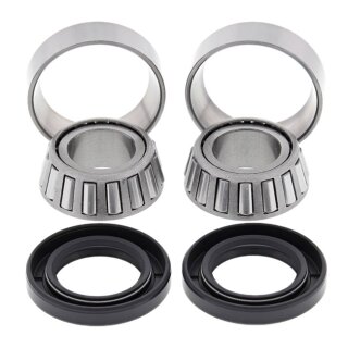 All Balls swing arm bearing kit