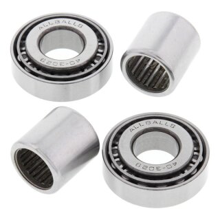 All Balls swing arm bearing kit