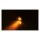 PROTON module LED turn signals ECE appr.