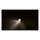 PROTON module LED indicator position light ECE appr.