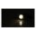 PROTON 2 LED 2-1 turn signals & position lights ECE appr.
