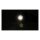 PROTON 1 LED 2-1 turn signals & position lights ECE appr.