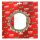 TRW clutch plate kit, frictions discs