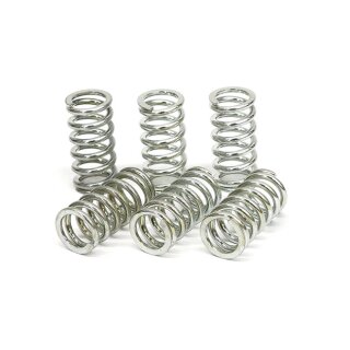 TRW clutch spring kit