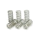 TRW clutch spring kit