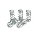 TRW clutch spring kit