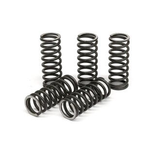 TRW clutch spring kit