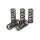 TRW clutch spring kit