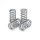 TRW clutch spring kit