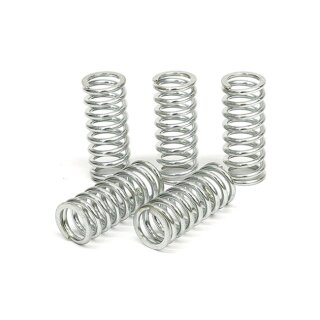 TRW clutch spring kit