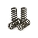 TRW clutch spring kit