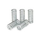 TRW clutch spring kit