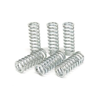 TRW clutch spring kit