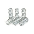 TRW clutch spring kit