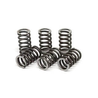 TRW clutch spring kit